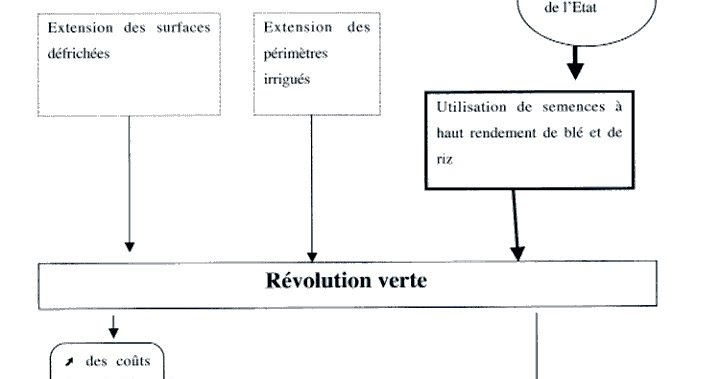découvrez comment la révolution verte transforme l'agriculture grâce à l'innovation, à des pratiques durables et à l'amélioration des rendements pour nourrir la planète tout en respectant l'environnement.