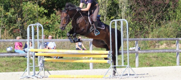 découvrez tout ce qu'il faut savoir sur le cso (concours de saut d'obstacles) : règles, techniques, conseils et actualités pour les passionnés d'équitation et de sports équestres.