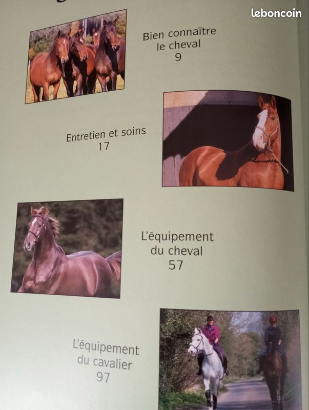découvrez notre guide pratique de l’équitation, pour apprendre les techniques essentielles, améliorer votre posture et profiter pleinement de vos balades à cheval.