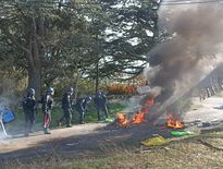 expertise en reconstruction sous arbres conservés après démolition sur site zad, garantissant préservation de l'environnement et respect des contraintes écologiques.