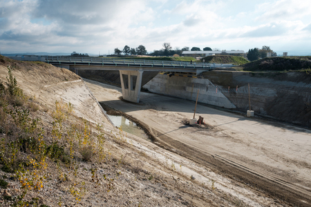 découvrez le retour surprenant des écureuils dans les platanes menacés et les enjeux de leur cohabitation avec cet arbre emblématique.