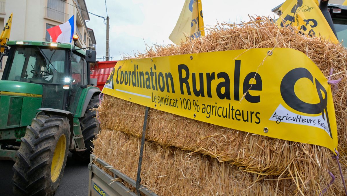 analyse de la crise agricole actuelle et de ses répercussions sur l'office français de la biodiversité (ofb), avec un focus sur les défis environnementaux et les mesures de soutien.