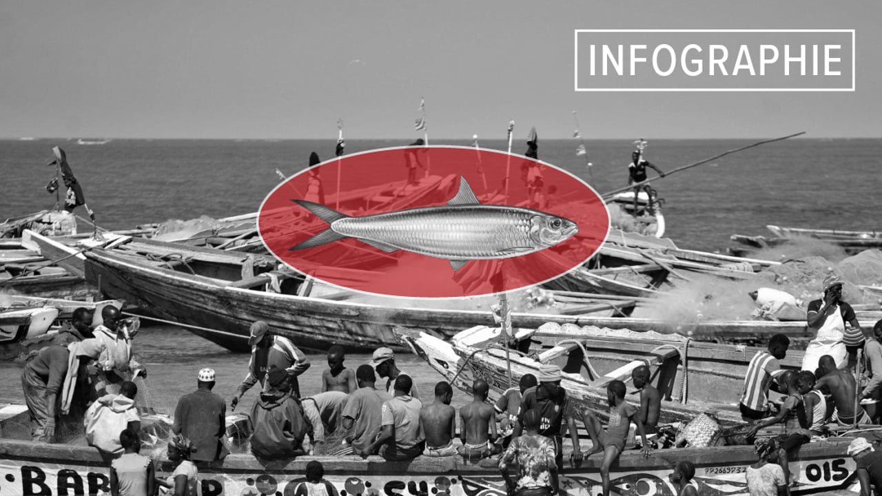découvrez la réalité surprenante de la pêche au ghana, où l'abondance de vêtements importés dépasse celle des poissons, reflétant des enjeux économiques et sociaux uniques.