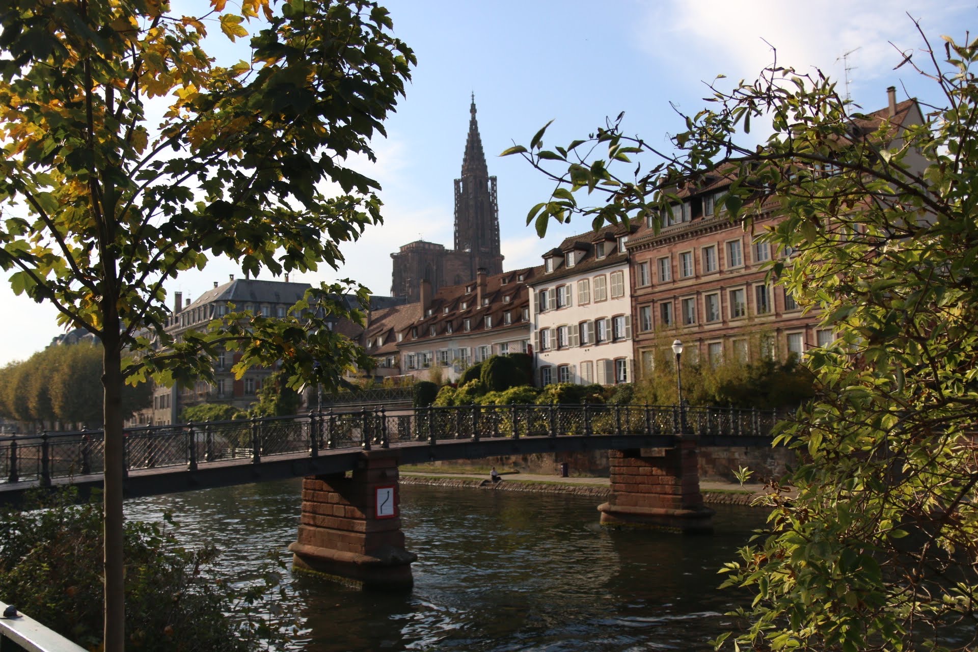 découvrez comment byfurk expérimente un revenu écologique à strasbourg pour promouvoir un mode de vie durable et respectueux de l'environnement.