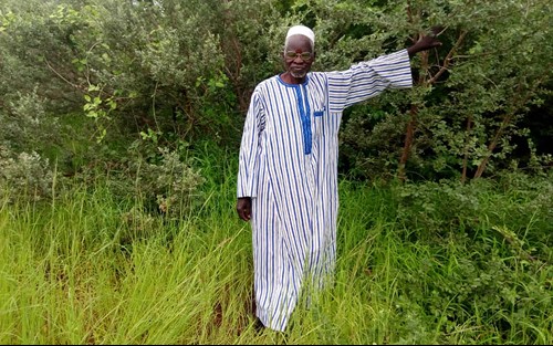 découvrez l'histoire inspirante de yacouba sawadogo, l'homme qui a réussi à stopper l'avancée du désert au burkina faso grâce à ses techniques agricoles innovantes.